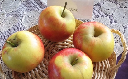 images/fruits/pomme-elstar.jpg