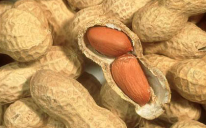 images/fruits_secs/cacahuetes.jpg