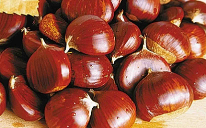 images/fruits_secs/chataignes.jpg