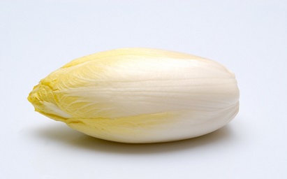 images/legumes/endive.jpg